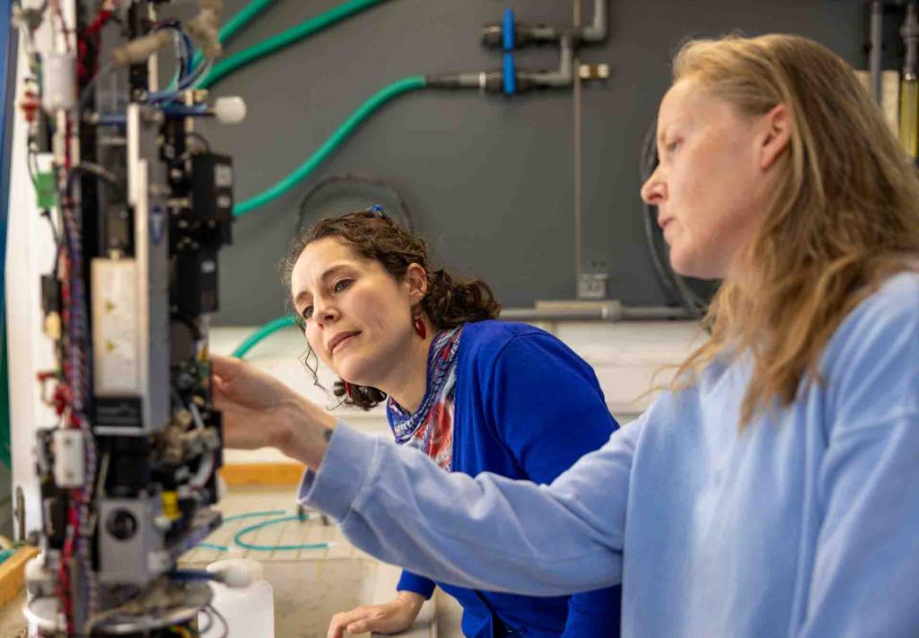 Dr Sophie Clayton, working on an Imaging FlowCytobot (IFCB), which allows scientists to take detailed images of single cell organisms, such as plankton, during scientific voyages, like this year's PAP-SO expedition.