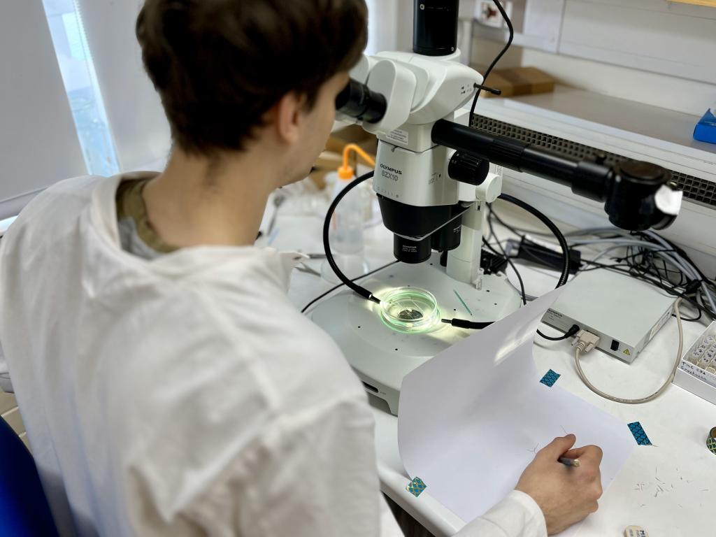 Ben at work in the lab, supporting the Discovery Collection.