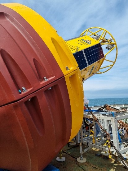 Can you find Mini diver on the Met Office buoy? 
