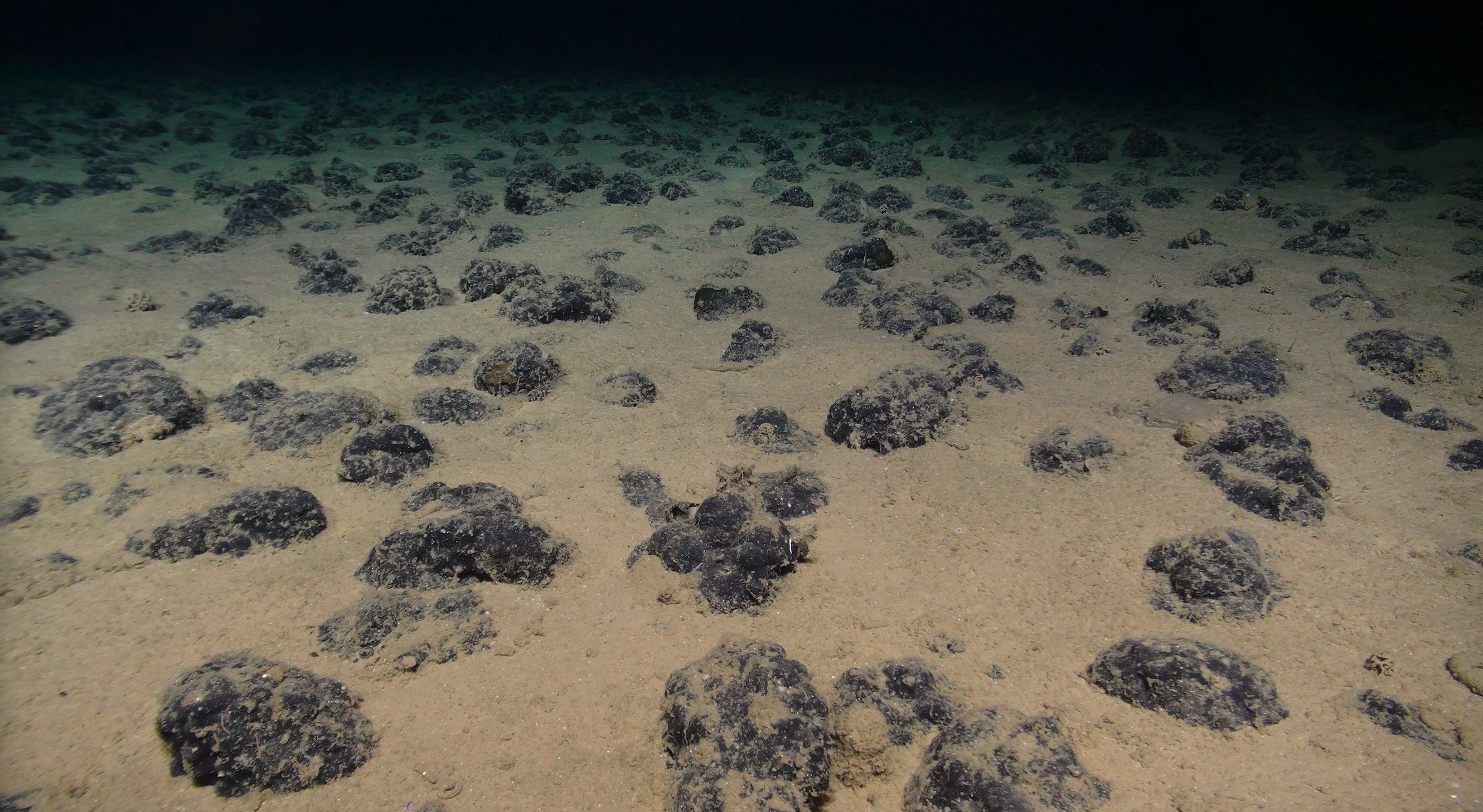 Nodules on the seabed