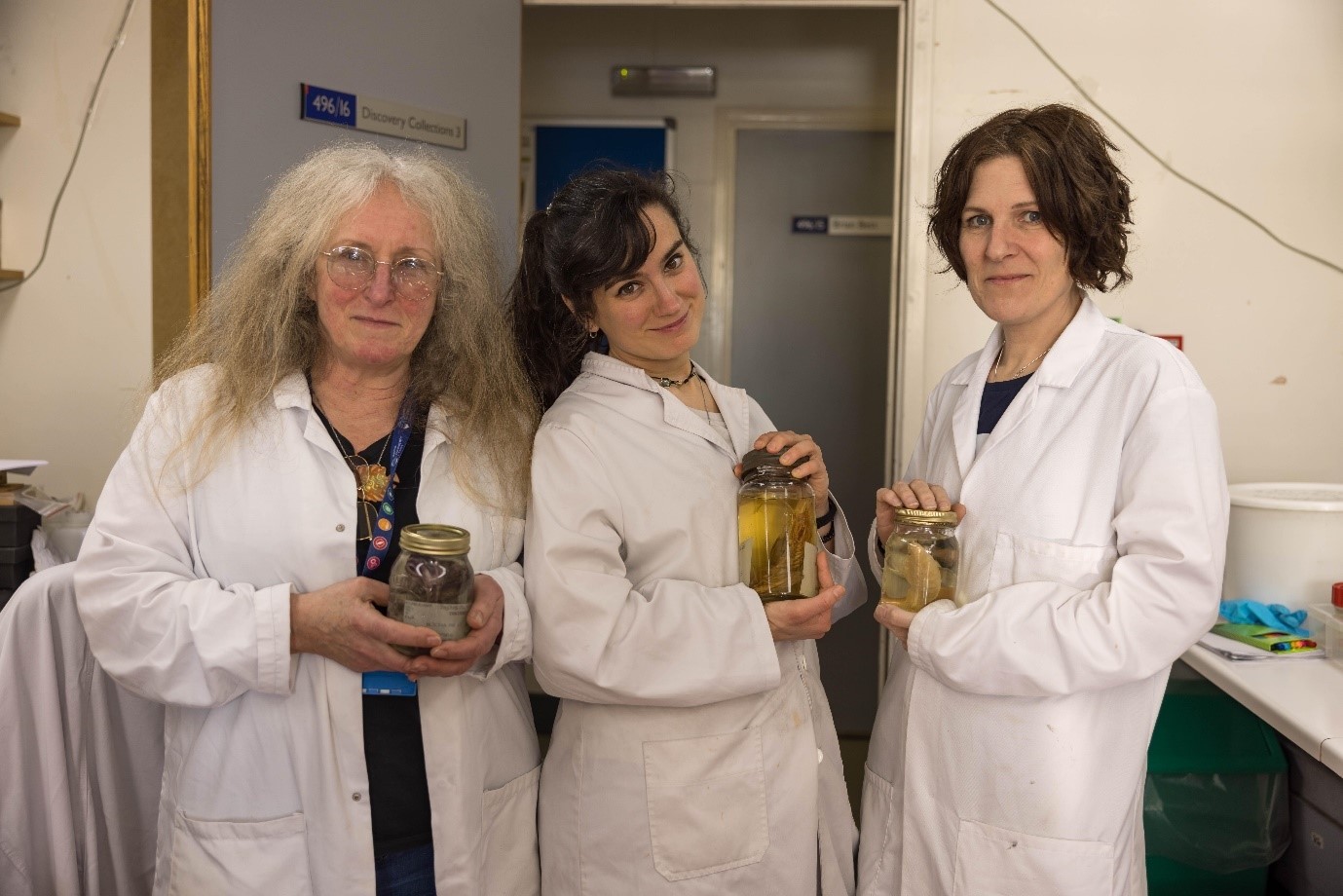 Discovery Collections Team Amanda Serpell-Stevens, Georgina Valls Domedel & Tammy Horton
