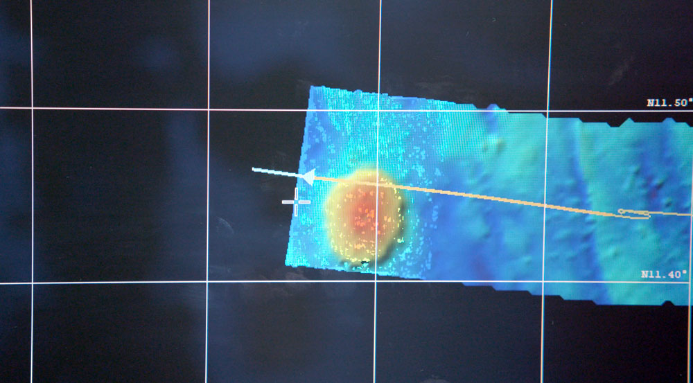 Seamount appears in multibeam bathymetry